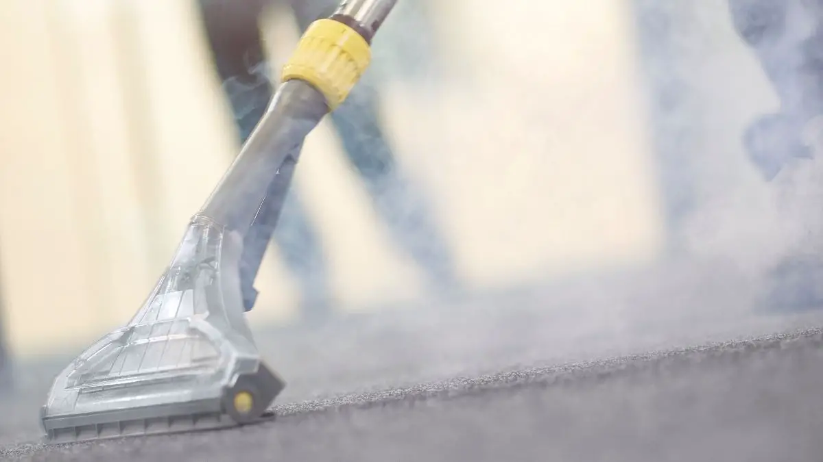 How to Steam Clean Carpet