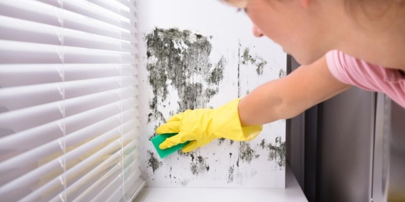 Woman with gloves removing mold from wall