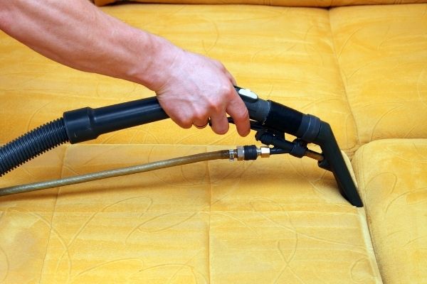 Using an upholstery cleaning machine to clean yellow sofa