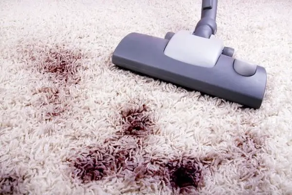 Vacuum cleaner on carpet with dark stains