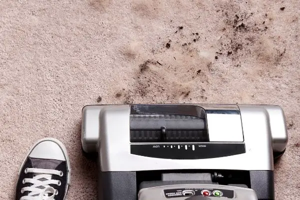 Person using steam cleaner to clean dirt and pet hair