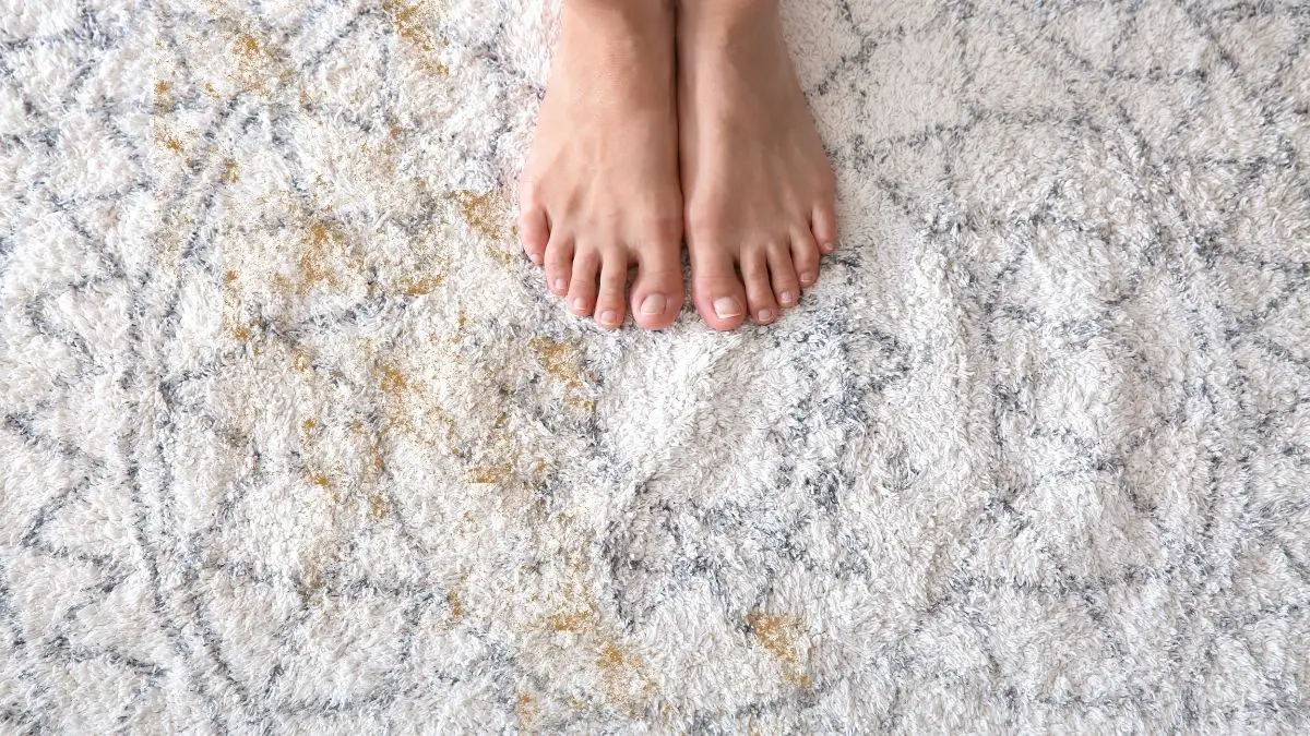 How To Get Sand Out Of Your Carpet