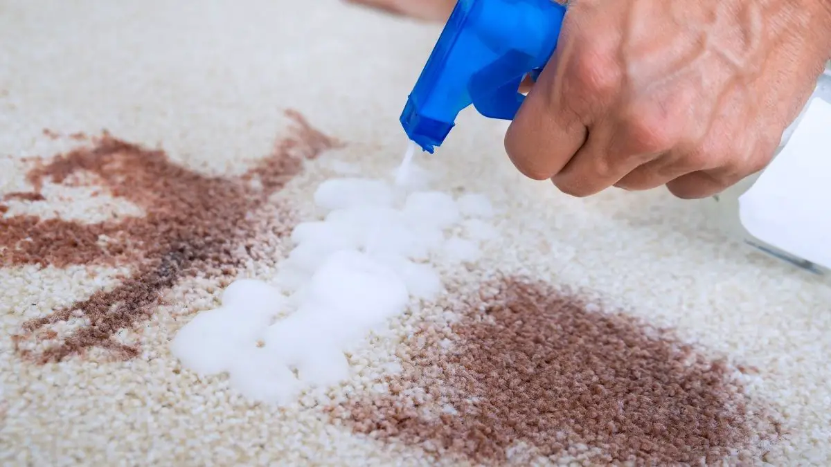 A Person Spraying Red Stain On Carpet