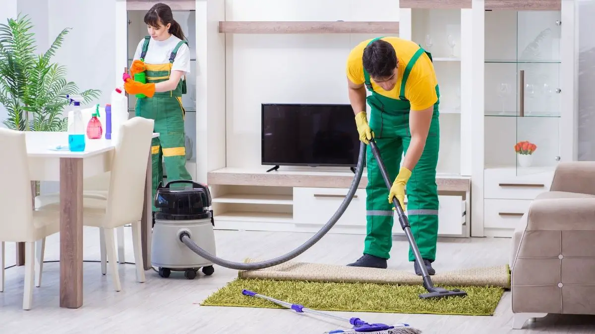 professional carpet cleaners working in a household