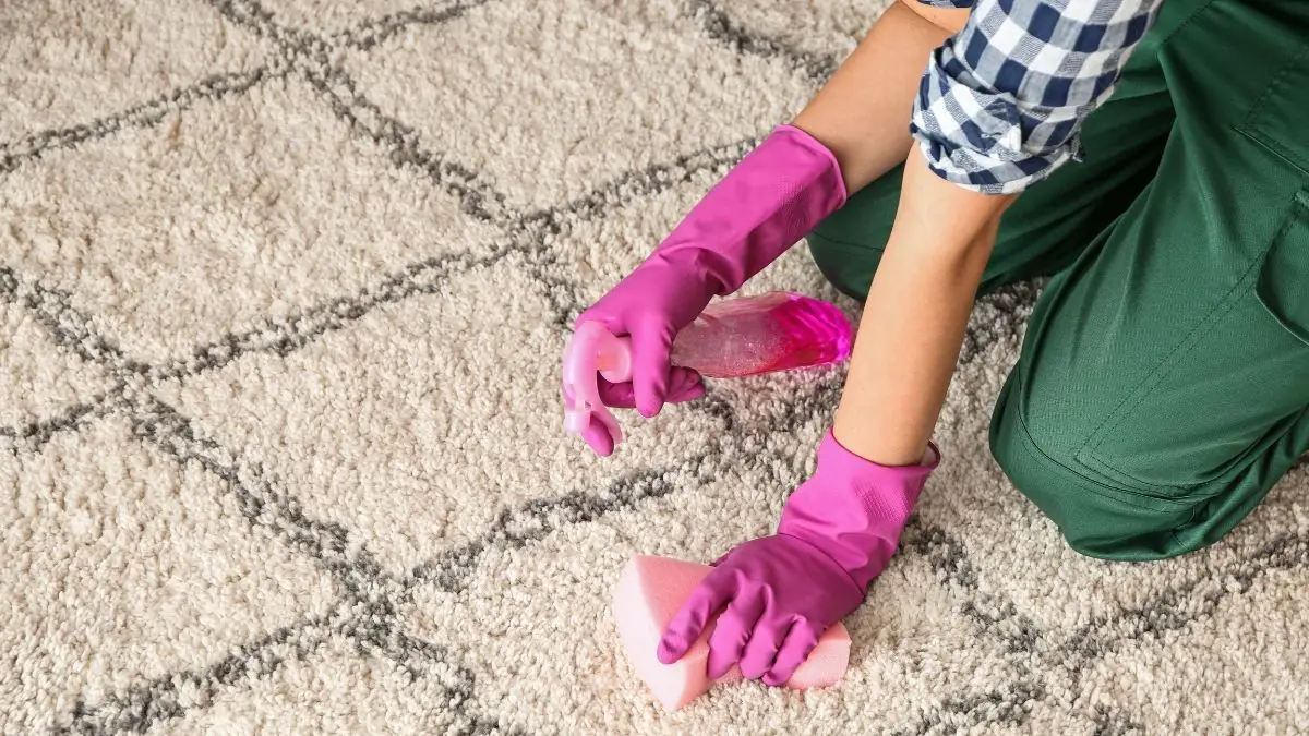 How To Clean Carpet With Bleach
