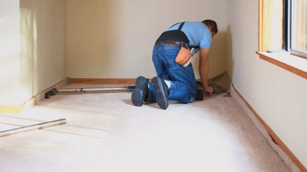 How Much To Clean And Stretch Carpet