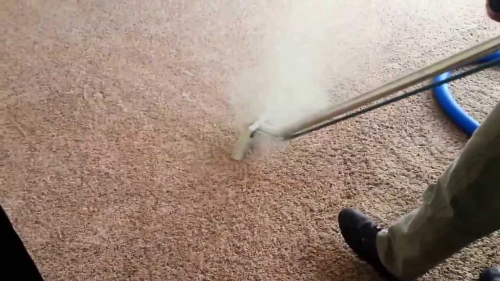 How To Steam Clean Carpets In 5 Simple Steps Steam Clean Queen