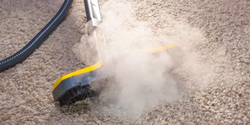 Using steam cleaner on carpet
