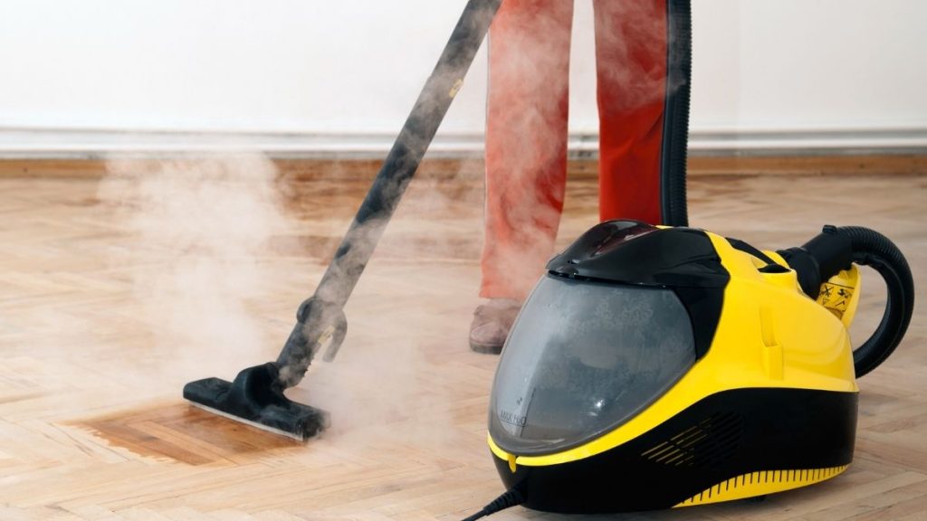 4 Best Steam Cleaner For Bathroom & Shower Steam Clean Queen
