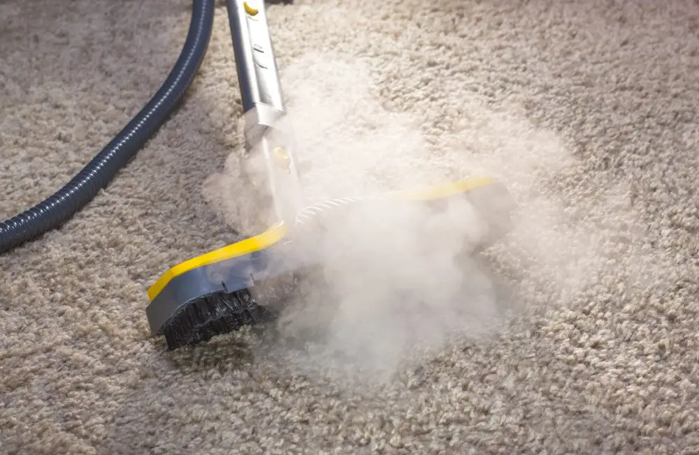 Dry steam cleaner