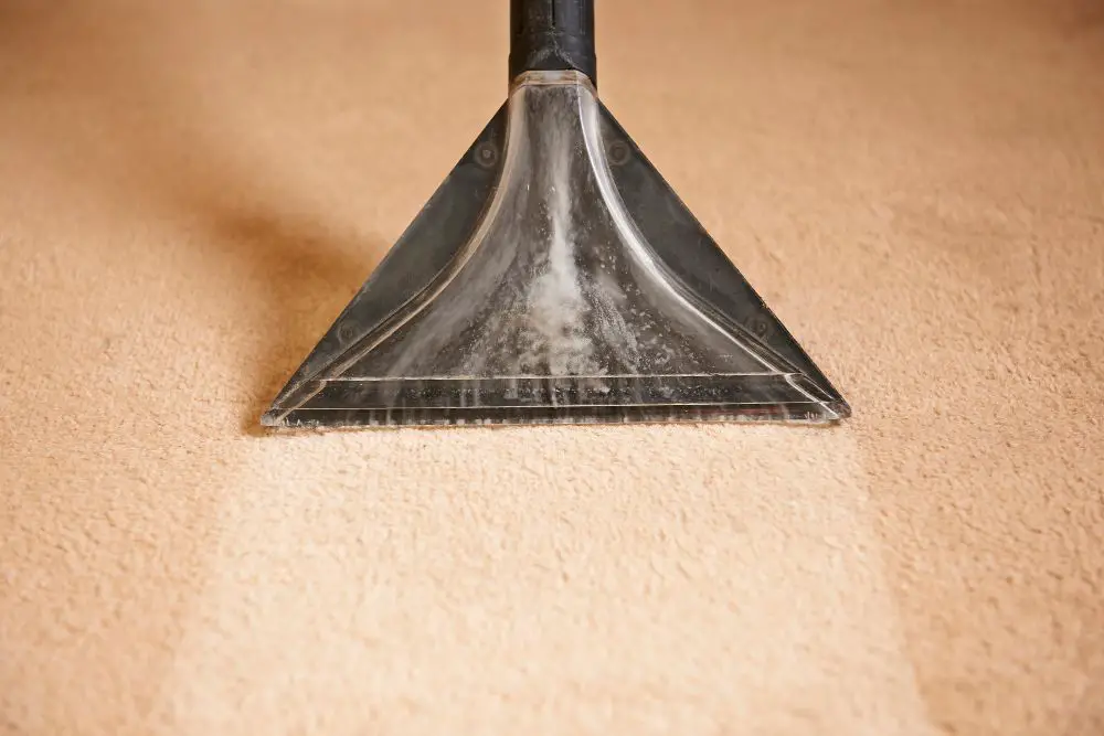 A photo of a carpet getting cleaned