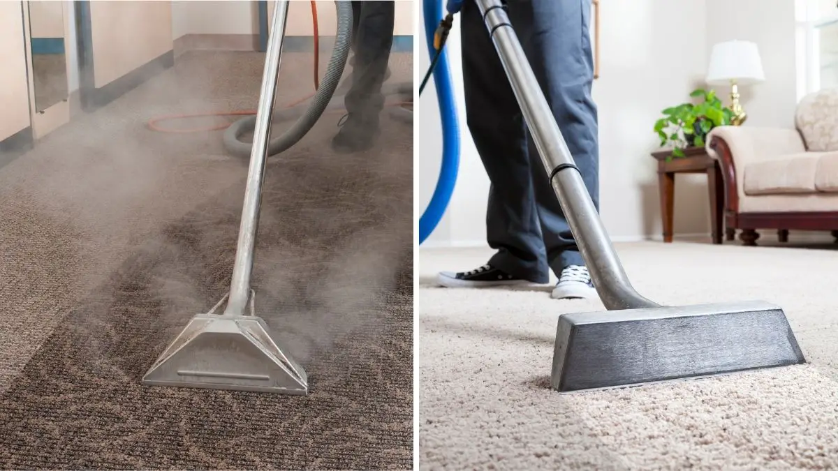 Carpet Steam Cleaning vs Dry Cleaning