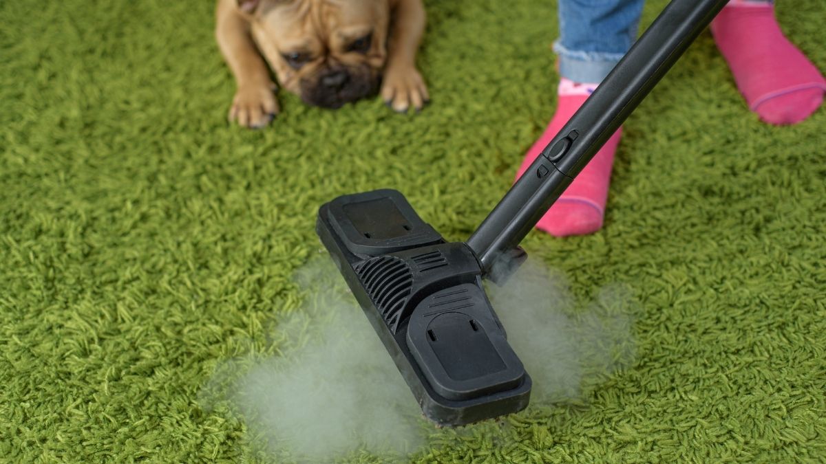 Do Steam Mops Really Work — Practical Timesavers or Another Hassle