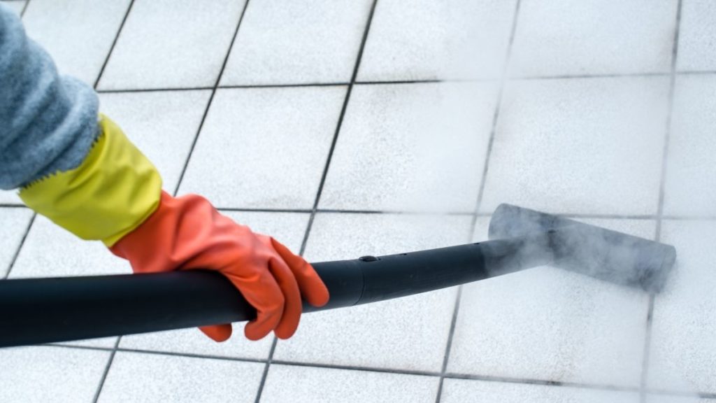 Dupray Home Vs Neat Vs One Steam Cleaner Buying Guide Steam Clean Queen