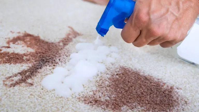 How to Get Red Wine Vomit Out of Carpet (3 Time-Tested Methods)