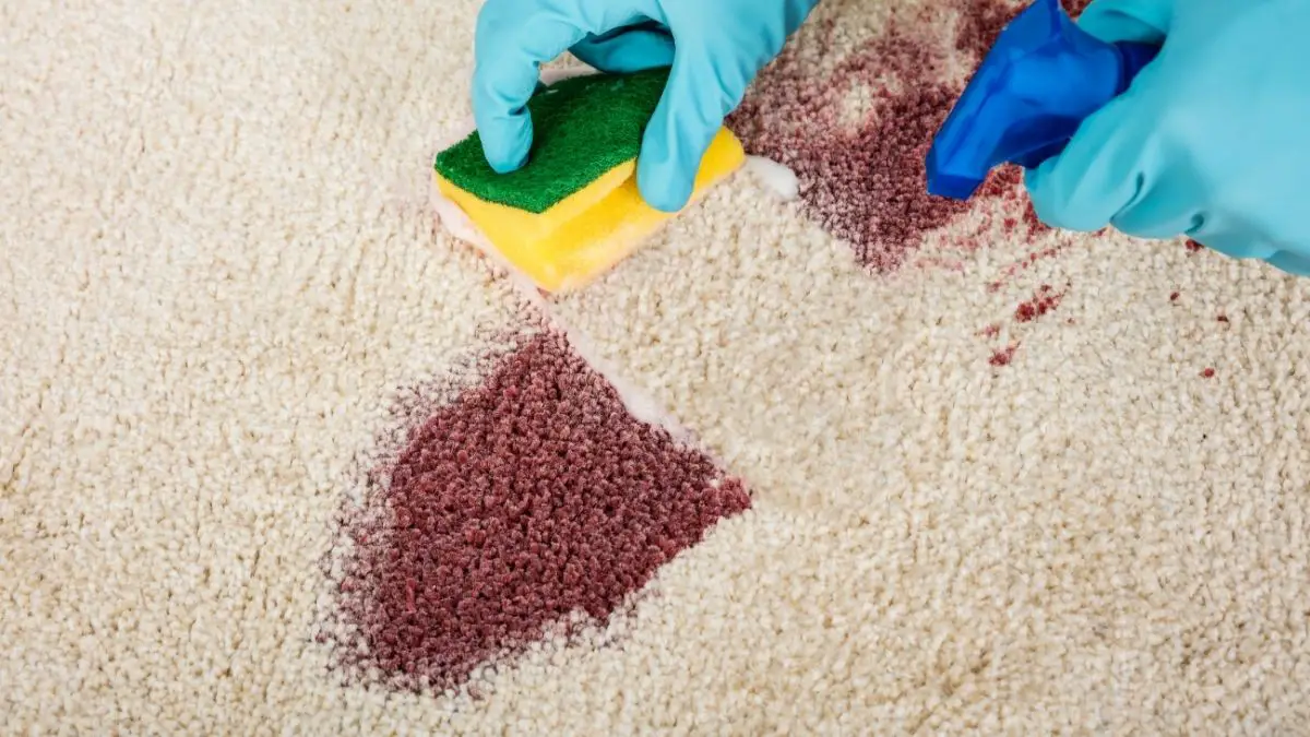 Cleaning A Brown Stain From Carpet