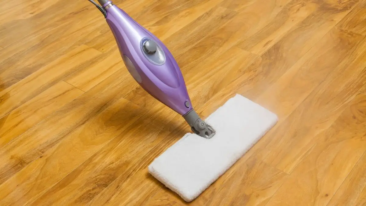 steam mop on a wood floor