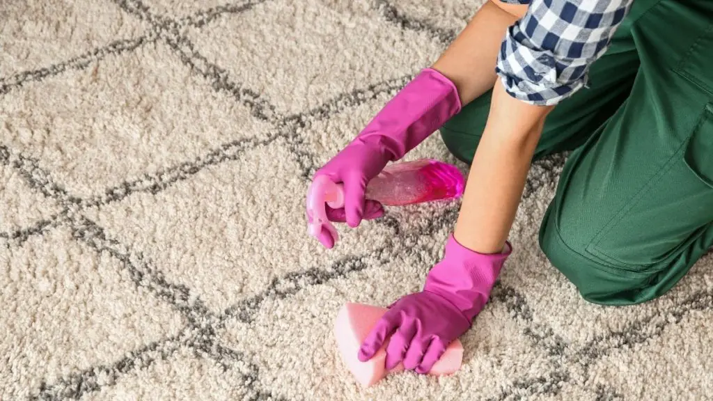 how-to-clean-carpet-with-bleach-and-not-ruin-it-dos-don-ts