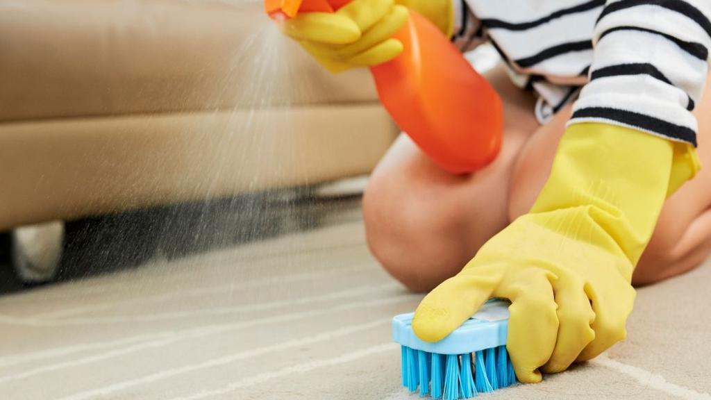 How To Clean Your Carpet Using Awesome