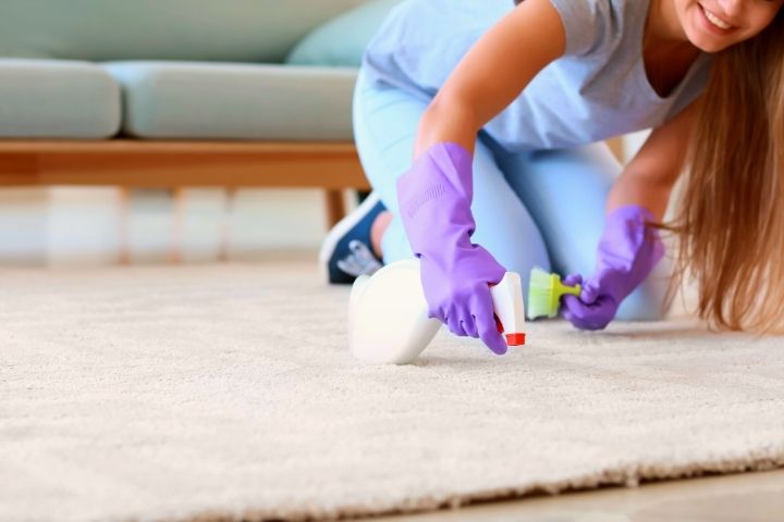 A Woman Is Cleaning Carpet 1