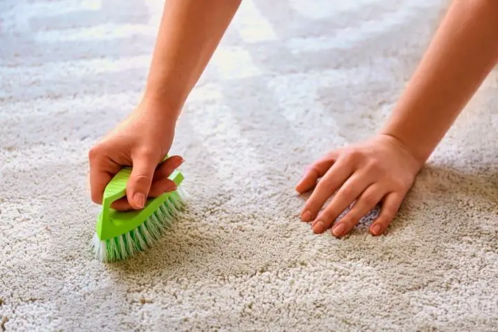 A Woman Is Cleaning Carpet 2