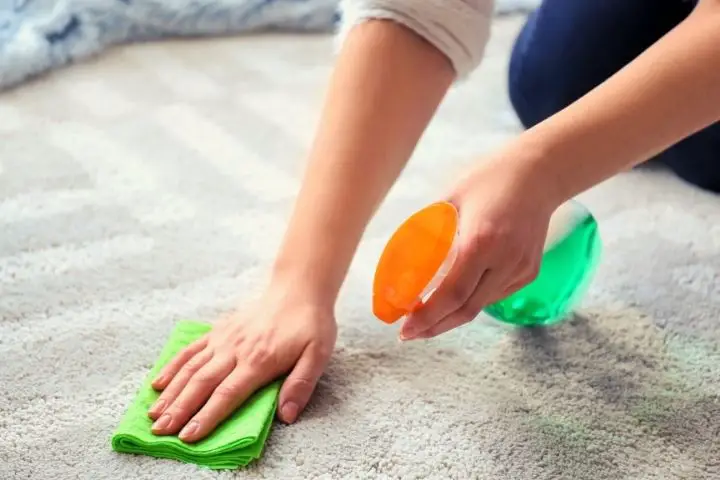 A Woman Is Cleaning Carpet With Spray