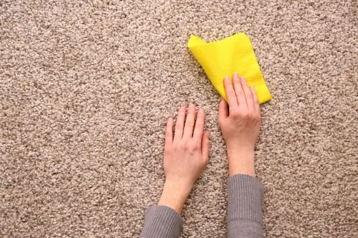 Blotting A Carpet With A Rag