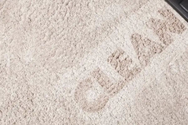 Clean Written On Carpet