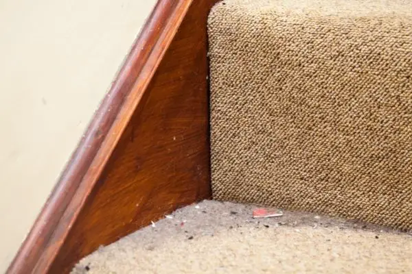 Dirty Carpet Stairs