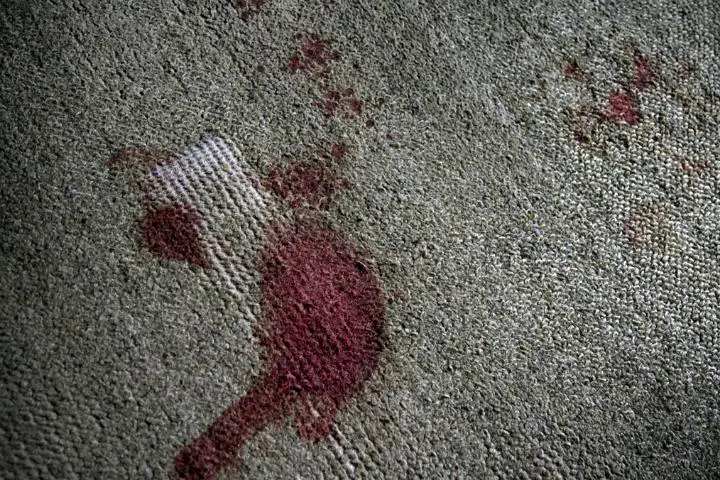 Fish Blood Stain On A Boat Carpet