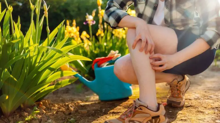 How to Get Scabies Out of Carpet (Ditch the Itch for Good!)