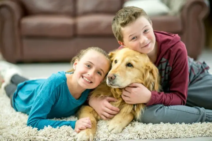 Kids Hugging A Dog On A Carpet