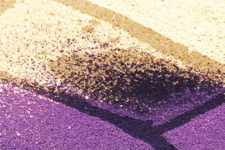 Sawdust On Carpet
