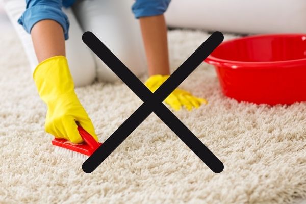 Scrubbing Carpet With A Brush