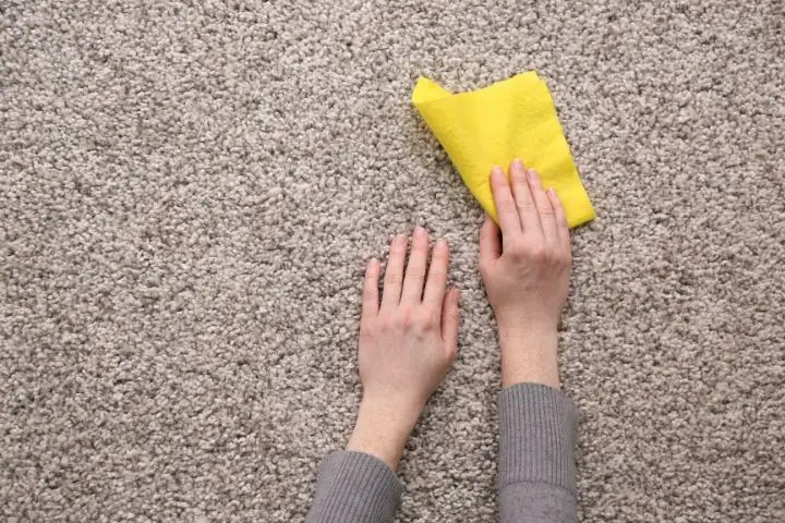 Wipe The Bleach Off Carpet With A Wet Cloth