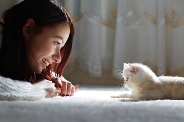 Young Girl And Kitty On A Carpet