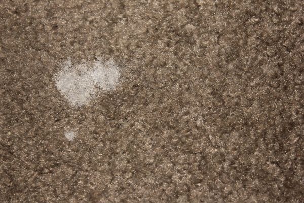 Dried Car Battery Acid Stains On Carpet