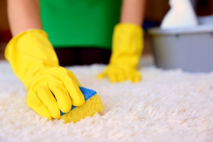 Cleaning Carpet With Sponge