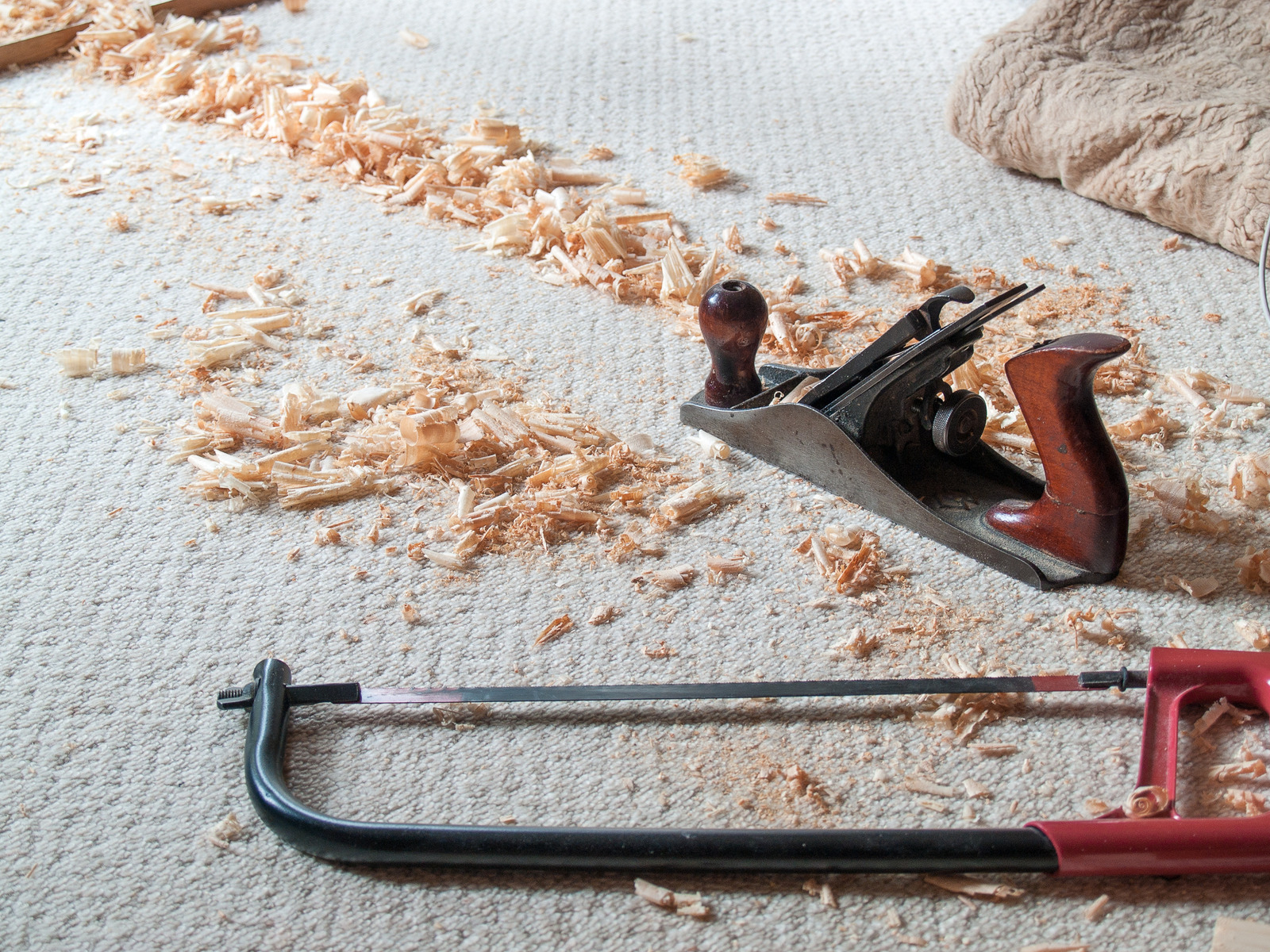 How To Get Sawdust Out Of TheCarpet Steam Clean Queen