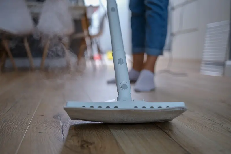 Steam Mop Laminate Floors